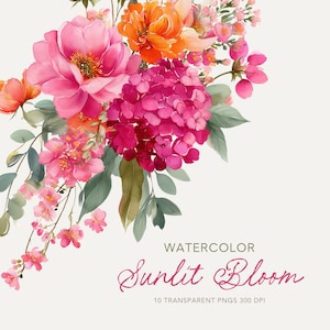 Könnte beinhalten: Aquarell-Illustration eines Blumenarrangements mit rosa, orangefarbenen und roten Blüten und grünen Blättern. Der Text "WATERCOLOR Sunlit Bloom" ist kursiv geschrieben. Das Bild enthält den Text "10 TRANSPARENT PNGS 300 DPI".