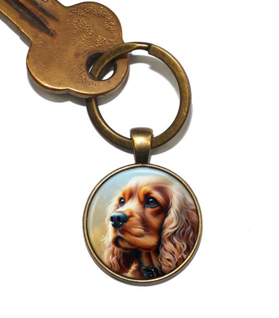 Cocker spaniel, dalla caccia al divano: tutte le caratteristiche della