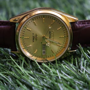K&ouml;nnte beinhalten: Eine goldfarbene Citizen Automatik-Uhr mit braunem Lederarmband. Das Zifferblatt der Uhr ist goldfarben mit schwarzen Zeigern und Markierungen und zeigt den Tag und das Datum an. Die Uhr liegt vor einem Hintergrund aus gr&uuml;nem Gras.