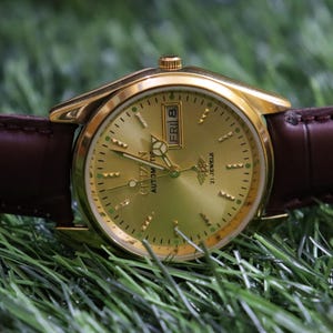 Op de afbeelding: Een goudkleurig Citizen automatisch polshorloge met een bruine leren band. De wijzerplaat van het horloge is goudkleurig met zwarte uurmarkeringen en wijzers. De dag en datum worden op 3 uur weergegeven. Het horloge ligt op groen gras.