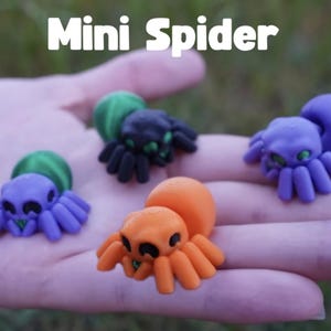 May include: Four small plastic spider figurines labeled Mini Spider. One is purple with a green abdomen, one is black with green eyes, one is solid purple, and one is solid orange. Each spider has eight legs and a rounded body shape.