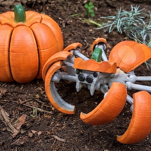 May include: An orange pumpkin and a mechanical spider-like creature with orange pumpkin-shaped components. The pumpkin has a green stem. The mechanical spider has a gray body and orange legs. The items are on a bed of soil.