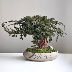 Handmade Wire Trunk, Preserved Juniper Bonsai | Ceramic Pot | 33×49×16 Cm, Maintenance-Free Japandi Desk Accent