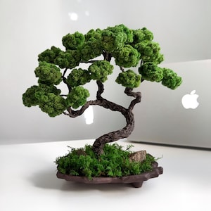 Mini bonsái zen japonés con musgo preservado, ideal para escritorio. Maceta de cerámica con follaje estabilizado, 20 cm de alto x ancho.