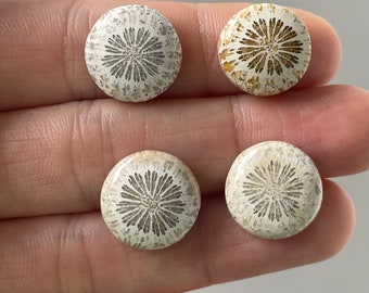 Beautiful Coral  Fossil  Stones 4 Pcs