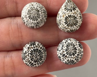 Beautiful  Natural Fossil Coral Set ( 4 Pcs )