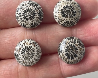 Beautiful  4 Fossil Coral Stones Cabochon