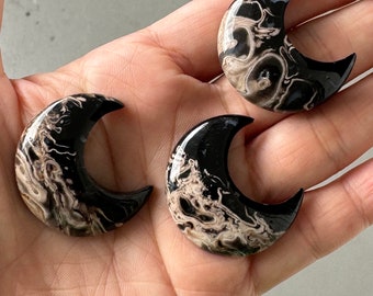 Awesome 3 Pcs Palm Root Fossil Stones Moon Shape