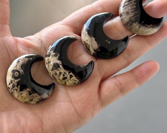 Palmenwurzeln: 4 Halbmond Cabochons