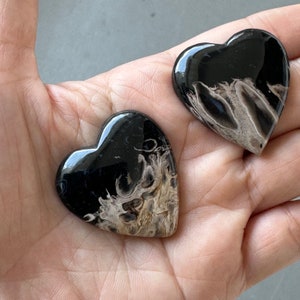 Beautiful 3 pcs Heart Shape Palm Root Stones image 5