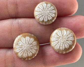 Beautiful 3 Pcs Coral  Fossil Stone