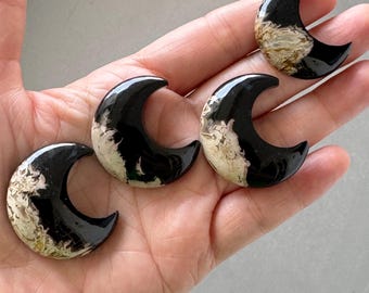 Ein Satz von 4 Stück Mond Form Palm Wurzel Steine