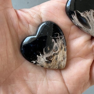 Beautiful 3 pcs Heart Shape Palm Root Stones image 2