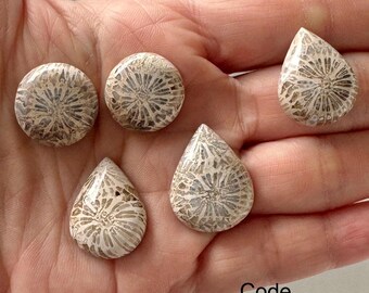 5 Stück Fossile Korallen Stein Cabochon: Rund und Tropfen Form