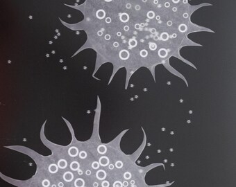 Frazil Series #25, Unique cameraless photogram, 11x14 silver gelatin print