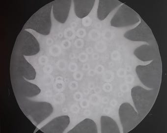 Frazil Series #22, Unique cameraless photogram, 11x14 silver gelatin print