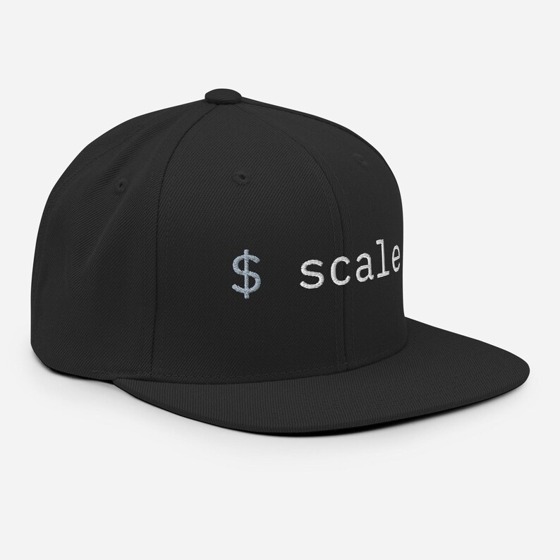 Sale hat, Developer Snapback, Coding Hat, Programmer Hat, Tech Minimalist Cap, Startup Hat, Dev Gift