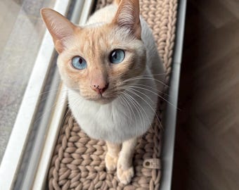 Tapis de rebord de fenêtre ovale fait main pour chat | Tapis pour nourriture pour chats et chiens | Lit pour chat au soleil | Tapis de rebord de fenêtre |