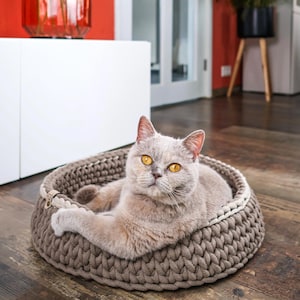Op de afbeelding: Een lichtgrijze kat met gele ogen rust in een rond, geweven, taupekleurig dierenbed. Het bed heeft een lichtere rand. De kat kijkt de camera in. De achtergrond omvat een witte kast en een rode muur.