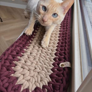 Pode incluir: Um tapete trançado feito à mão, em forma oval, em tons de bordô e bege. Um gato creme com olhos azuis está no tapete. O tapete é colocado em uma janela.