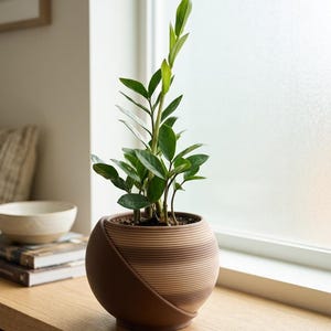 May include: A potted ZZ plant with vibrant green leaves. The plant is in a brown, spherical ceramic pot with a diagonal design. The pot sits on a wooden surface near a window, creating a natural, indoor aesthetic.