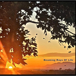 May include: A vibrant sunset scene with a tree silhouette and sun rays. The image features a bright orange and yellow sky, with the text "Beaming Rays Of Life" at the bottom right. The tree's leaves are dark, creating a contrast.