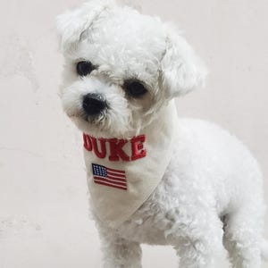May include: A small white dog with curly fur wearing a cream-coloured triangular bandana. The bandana features the name DUKE embroidered in bold red capital letters above a small rectangular patch of the American flag with red, white, and blue.