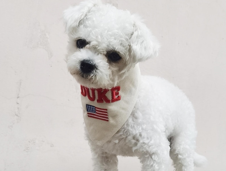 May include: A small white dog with curly fur wearing a cream-coloured triangular bandana. The bandana features the name DUKE embroidered in bold red capital letters above a small rectangular patch of the American flag with red, white, and blue.