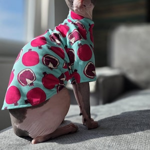Puede incluir: Un gato sin pelo lleva una camisa de manga corta de color azul claro con un patrón repetitivo de granadas de color rosa brillante con semillas de color rojo oscuro. La camisa tiene cuello alto y cubre el torso del gato, sentado de perfil.