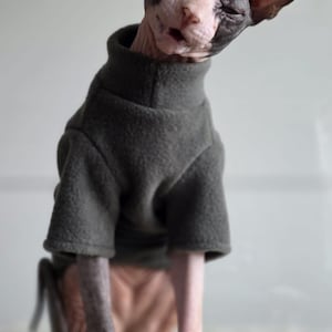 May include: A hairless Sphynx cat with dark grey and pink skin wearing a dark olive green fleece shirt with short sleeves and a high mock neck collar. The cat has large pointed ears and is looking slightly to the side with its eyes partially closed.
