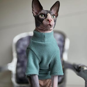 Pullover Fleece Warme Kleidung für Haarlose Katzen (Sphynx, Devon Rex) *BEGRENZTE ZEIT 60% Rabatt*