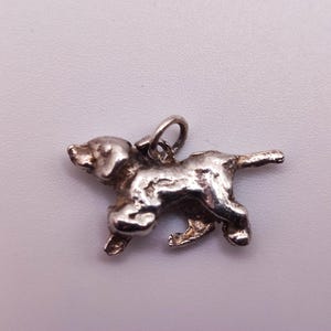 Può includere: Un piccolo ciondolo color argento a forma di cane. Il ciondolo è dettagliato con zampe visibili, una coda e un anello per attaccarlo a una collana o un braccialetto. Il cane è in posizione di camminata.