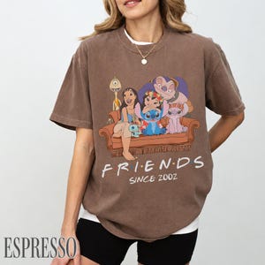 May include: Brown t-shirt with a graphic of Lilo & Stitch characters on a brown sofa. The word "FRIENDS" is printed below the sofa, with "SINCE 2002" underneath. The shirt has a relaxed fit. The word "ESPRESSO" is printed at the bottom left.