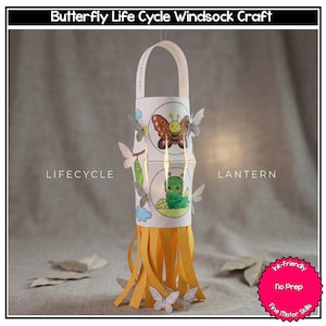 May include: A handmade paper lantern featuring a butterfly life cycle design. The lantern has a white handle and is decorated with illustrations of a butterfly and a caterpillar. The bottom of the lantern has orange paper fringe and decorative paper butterflies.