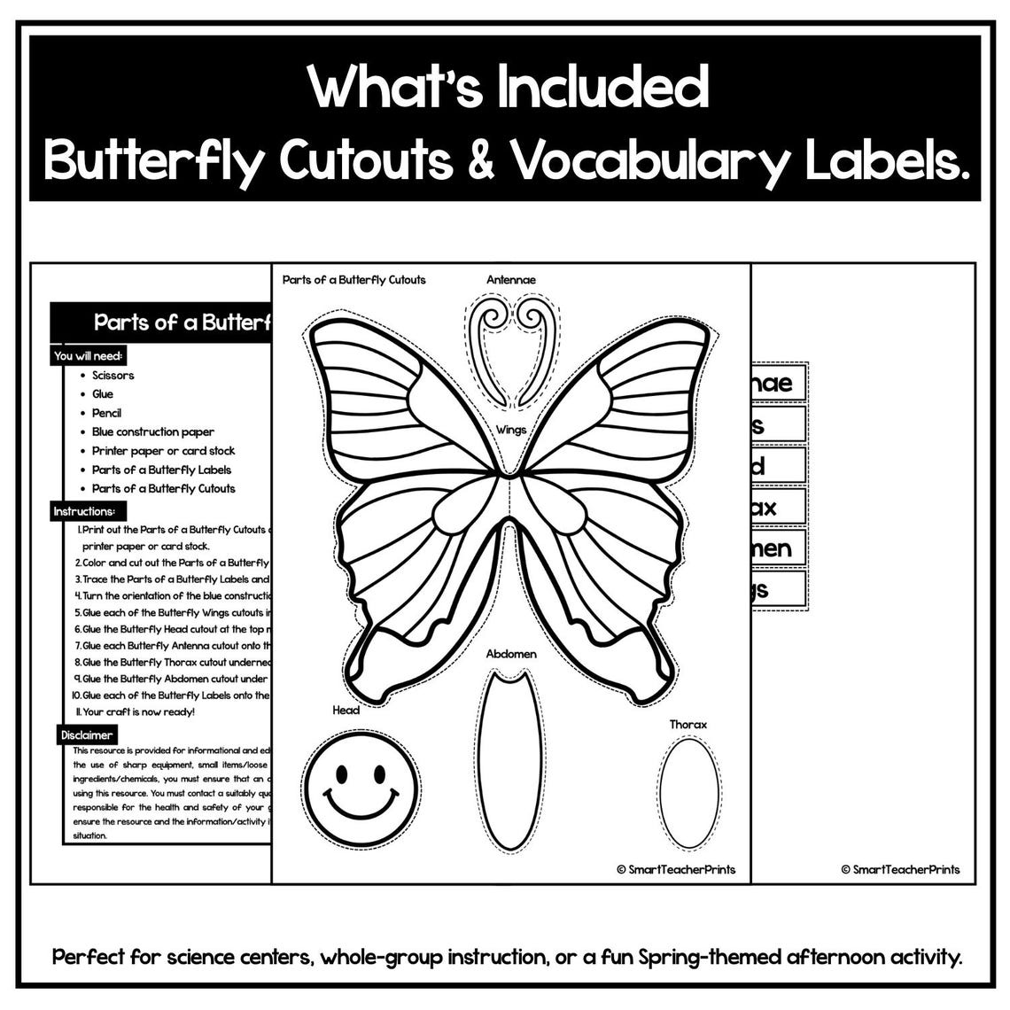 Parts of a Butterfly Labeling Craft | Spring Science Activity - Etsy