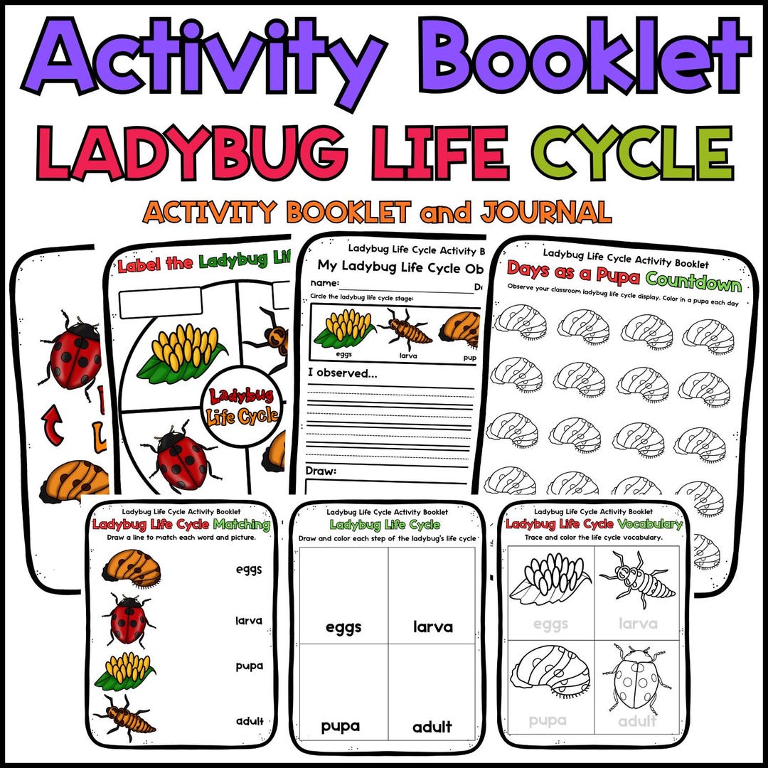 Ladybug Life Cycle Activity Booklet | Science Observation Journal and ...