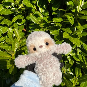 Pode incluir: Um brinquedo de pelúcia de bicho-preguiça com corpo cinza claro e marrom, olhos pretos e braços estendidos. A preguiça é segurada contra um fundo de folhas verdes e uma manga azul clara.