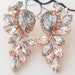 see more listings in the Earrings section