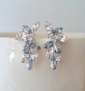 Dusty blue bridal earrings,Dusty Blue wedding,Blue earring,Dusty blue Bridal earrings,statement earring,cluster earring,Crystal earring product logo