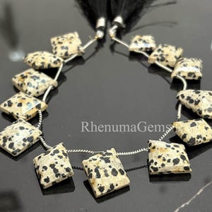 May include: A strand of square-cut Dalmatian jasper beads. The beads are cream-colored with black spots, strung on a silver-colored wire. The beads are arranged in a curved line, with black tassels at the top.