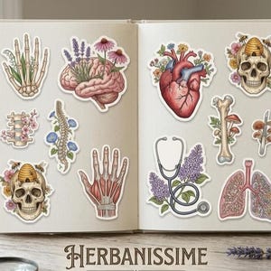 Peut inclure: Un livre ouvert présente des autocollants anatomiques, dont un cœur, un cerveau et un crâne, ornés d'éléments floraux. Un stéthoscope et des poumons sont également présents. Le mot "HERBANISSIME" est en bas. Petites bouteilles en verre avec bouchons à droite.