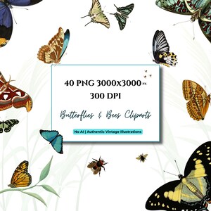 Butterflies & Bees Clipart | 40 Transparent PNG | 300 DPI | Vintage Entomology Bundle | Scrapbook Element