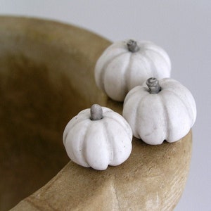 Thanksgiving white pumpkins farmhouse style home decor rustic fall Halloween autumn clay pumpkin   hostess gift miniature pumpkins