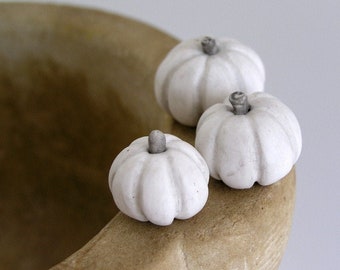 Thanksgiving white pumpkins farmhouse style home decor rustic fall Halloween autumn clay pumpkin   hostess gift miniature pumpkins