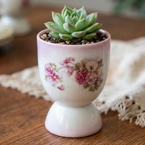 Vintage Floral Egg Cup Succulent Planter, Pink Rose Porcelain, Cottagecore Home