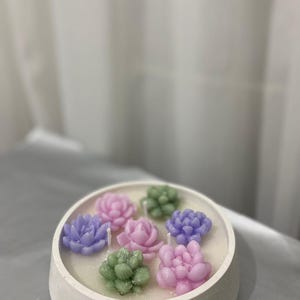 Handgjort suckulentljus i skål, träveke i sojavax, botaniskt blomljus, dekorativt ljus i betongkruka, aromaterapi-spapresent