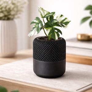 May include: A small potted plant with green and white leaves in a black, mesh-patterned planter. The planter has a solid black base. The plant is a decorative element for home or office. The planter is on a light-coloured surface.