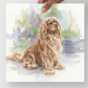 Ruby Cavalier King Charles Spaniel Poster, Hundkonsttryck, Husdjursinredning
