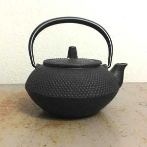 Vintage 1990s Cast Iron tea coffee pot Nambu iwachu cast ironware Japan