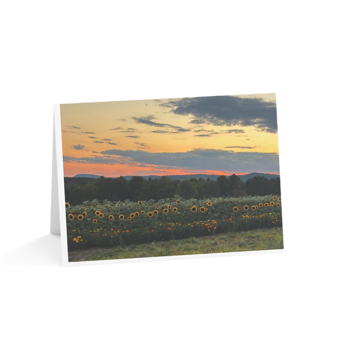 Sunflower Field at Sunset Greeting Cards | Blank Note Cards, Pack of 1 ...